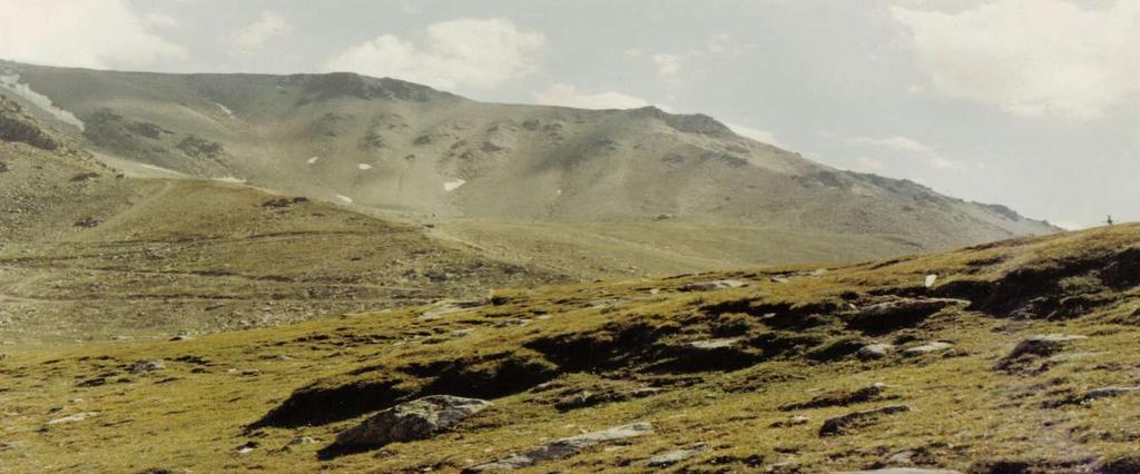 Velehorská
