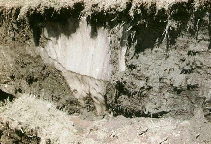 Podzemní led ledových