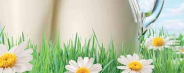 Krávy před otelením dostávají preventivně selevit a vitamíny A a D.