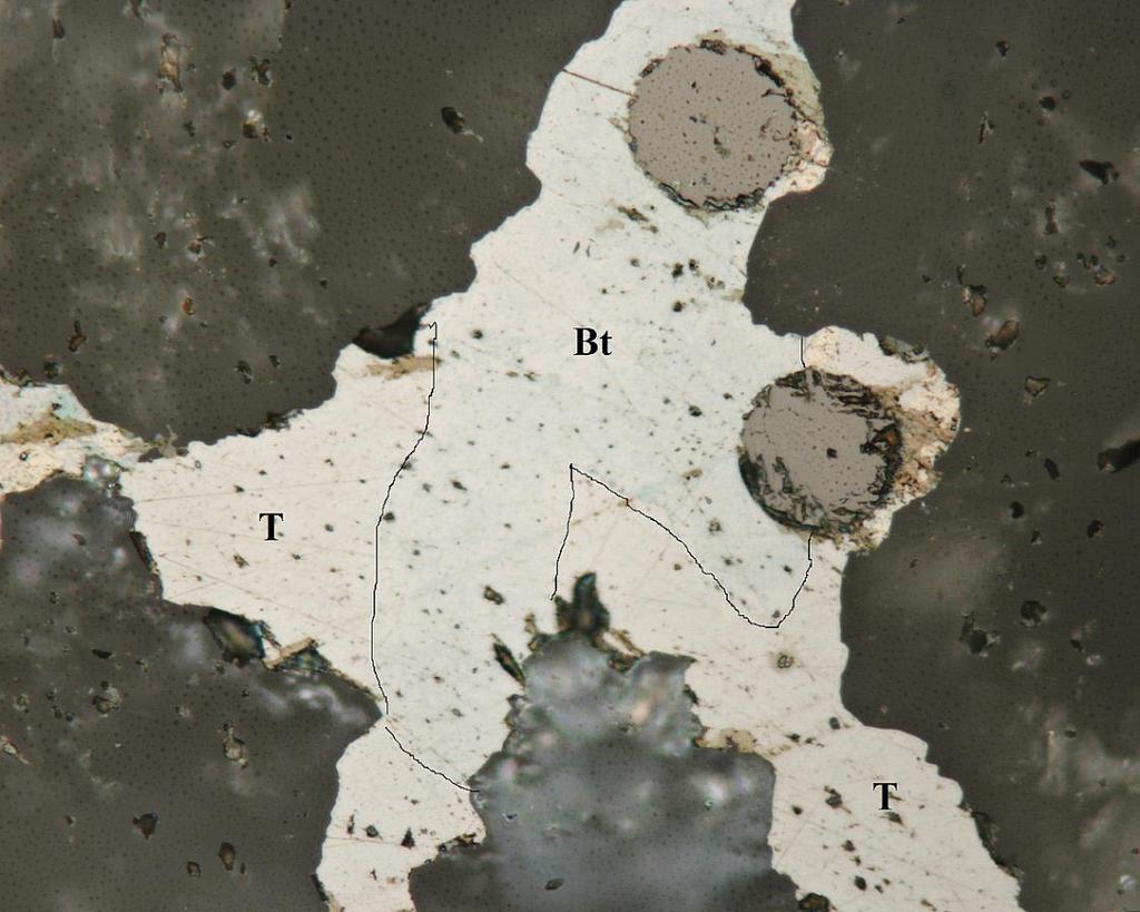 Brodtkorbit, Cu 2 HgSe 2, je extrémně vzácný selenid, který byl doposud zjištěný pouze na lokalitě Tumiñico v Argentině (Paar et al. 2002). V Příbrami byl nalezen na odvalu šachty č.
