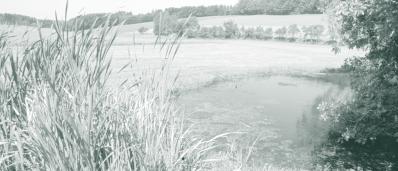 SZP zaznamenává od devadesátých let dlouhodobý posun od dříve výlučné podpory produkce a trhu k podporám rozvoje venkova s jeho četnými atributy.