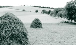 Ekologické zemědělství 65 ny v zemích EU dlouhou historii. V těch zemích, kde se podařilo úspěšně monitoring a následné vyhodnocování zavést (např.