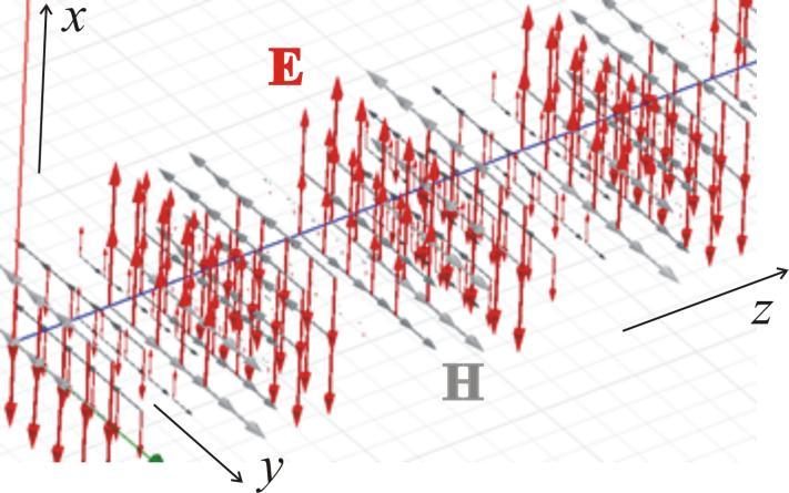 příčně (tansvesálně) elektomagnetická (TEM). Tedy, vektoy elektické a magnetické intenzity nemají podélné (longitudinální) složky neboli jejich složky, ovnoběžné se směem šíření, jsou nulové (viz ob.