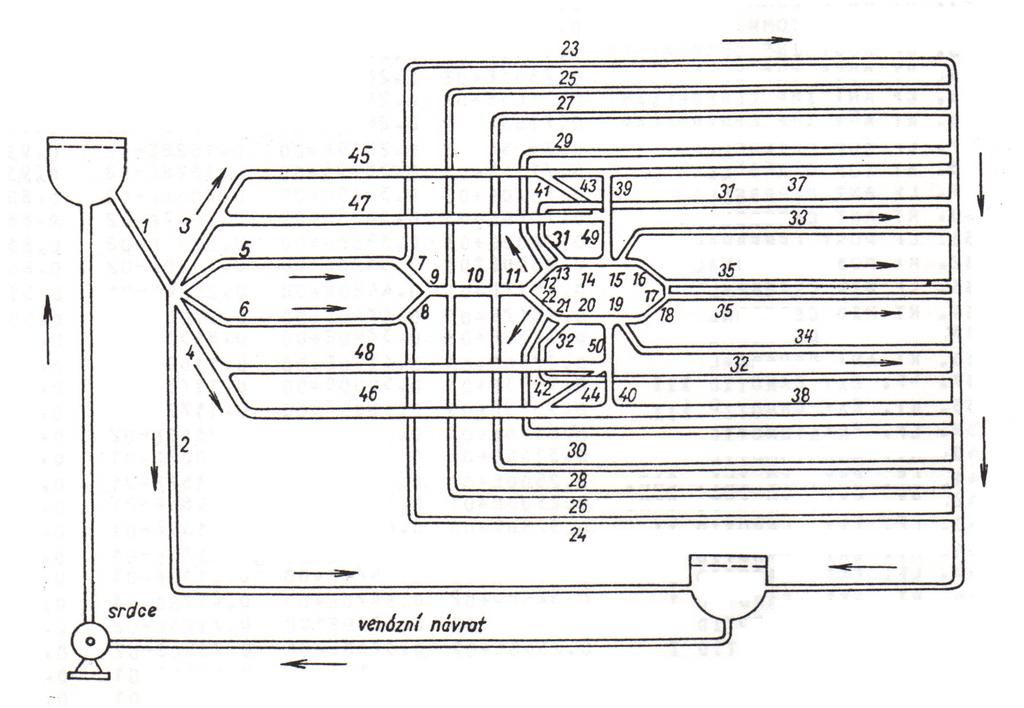 2. Model