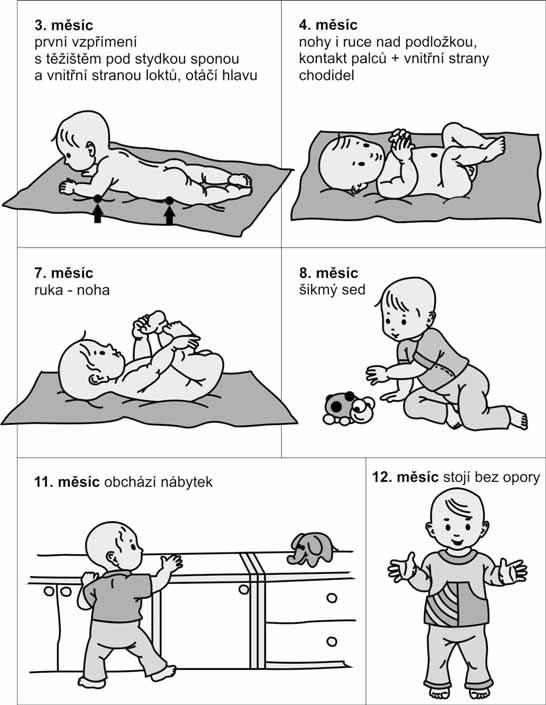 Vývoj dítěte v prvním roce života Metoda