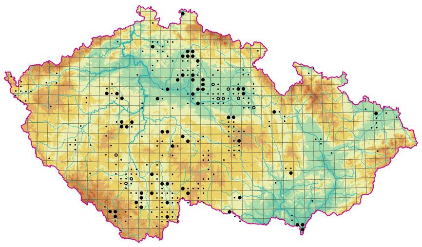 Utricularion vulgaris neboť na dalších kontinentech se dominantní druh vyskytuje jen vzácně a v případě některých údajů může jít o záměny s Utricularia vulgaris. Výskyty druhu U.