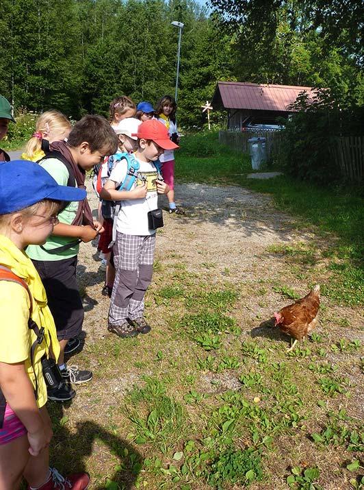 RYBY, RYBKY, RYBIČKY Kdy: říjen duben Hravou a zábavnou formou formou se podíváme pod hladinu šumavských vod, abychom poznali, jaké ryby zde žijí.