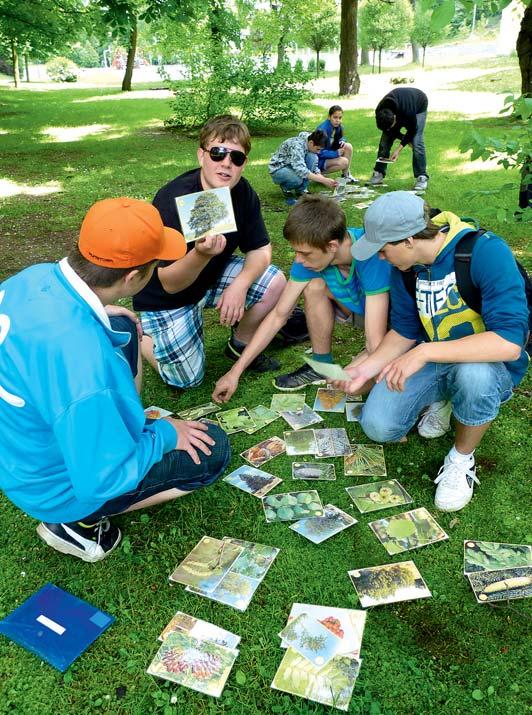 novinka ŠUMAVSKÝ ROK Vnitřní i venkovní program Kdy: listopad červen Délka: 1,5 2hodiny Co se děje v šumavské přírodě během celého roku? Kdo je u nás poslem jara a komu nevadí dlouhá zima?