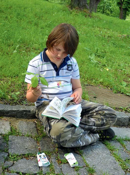 ZE ŽIVOTA RYSA Délka programu: 1,5 hodiny Kdo je rys ostrovid? Kde žije a jak se chová? Podle čeho jej poznáme?