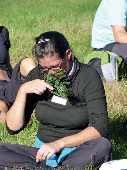 novinka JAK SI ŽIJÍ OBOJŽIVELNÍCI Délka: 1,5 2hodiny Kdo se cítí doma na souši i ve vodě a jak je přizpůsoben na pohyb v obou životních prostředích?
