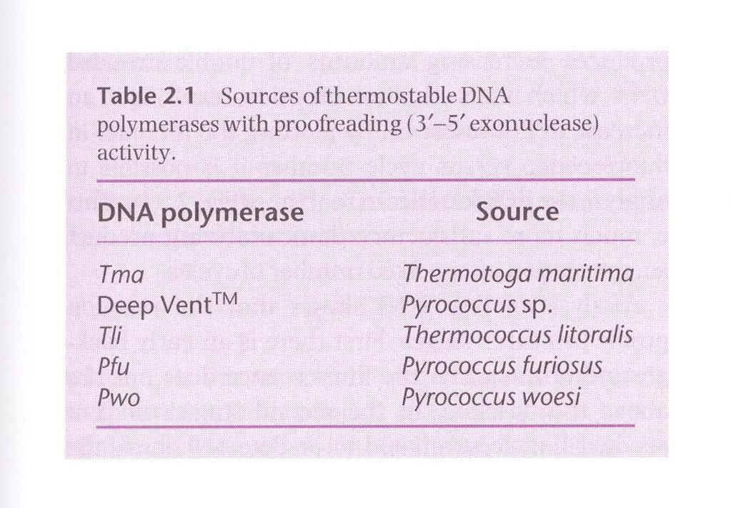 Termostabilní DNA