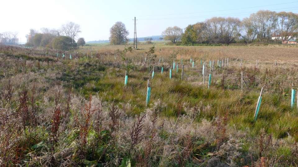 2012