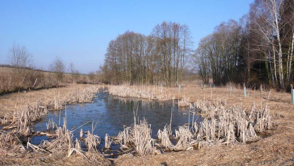 tůň 2011