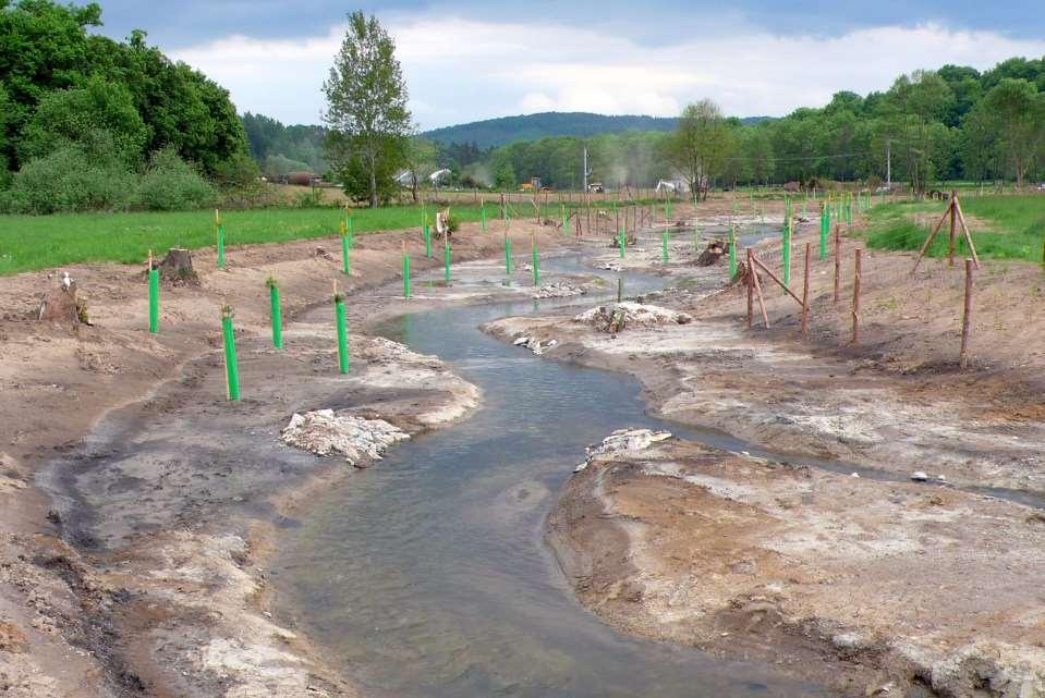 Revitalizace Loděnického