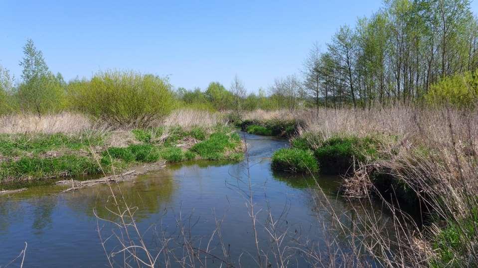 Moravská
