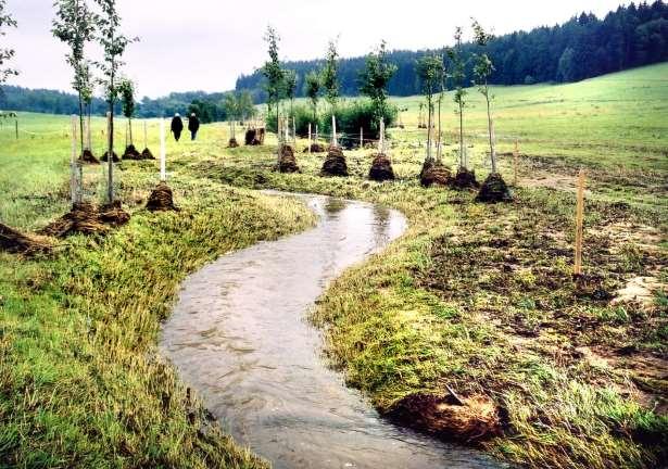 2001 revitalizace Borové stižena přívalem Q 80 až Q 100 Událost hydrologicky a hydraulicky