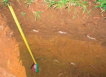 Banín, klimatický region MT 2 = mírně teplý, mírně vlhký; průměrná roční teplota 7 8 C a srážkovým úhrnem 550 700 mm/rok.