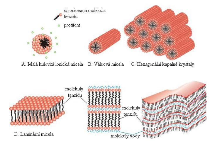 UTB ve Zlíně, Fakulta technologická 23 Větší micely se vyskytují ve více koncentrovaných roztocích.