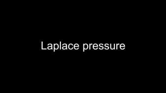 Kapilární tlak p vzniká u obecně zakřiveného povrchu p = rozdíl tlaků v sousedních fázích rozdělených
