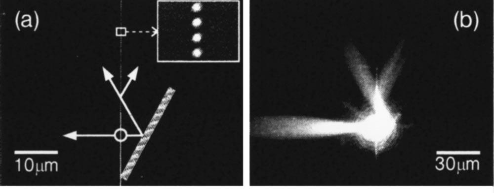 2. UŽITÍ KOVOVÝCH NANO A MIKROČÁSTIC V PLASMONICE Obrázek 2.2: (a) Snímek pořízený rastrovacím elektronovým mikroskopem.