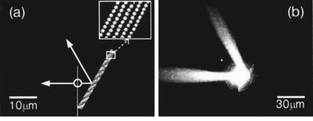 2.2. NANO A MIKROSTRUKTURY V PLASMONICE 2.1.3.