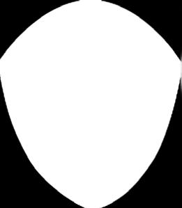 uspořádala,
