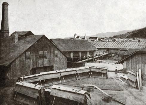 Cihelna velkostatku Boskovice, U cihelny 168 1895 1948 červenec/srpen