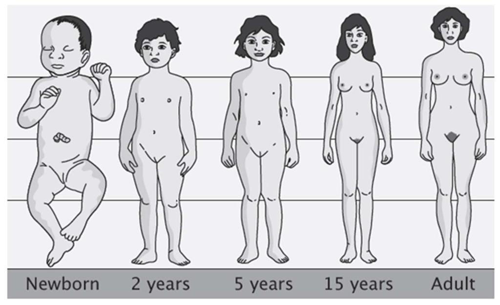 4.5 Tělesné změny Během dospívání se vlivem pohlavních hormonů, androgenů a estrogenů, začínají vyvíjet sekundární (druhotné) pohlavní znaky - tedy ty znaky, kterými se od sebe odlišují muži a ženy,