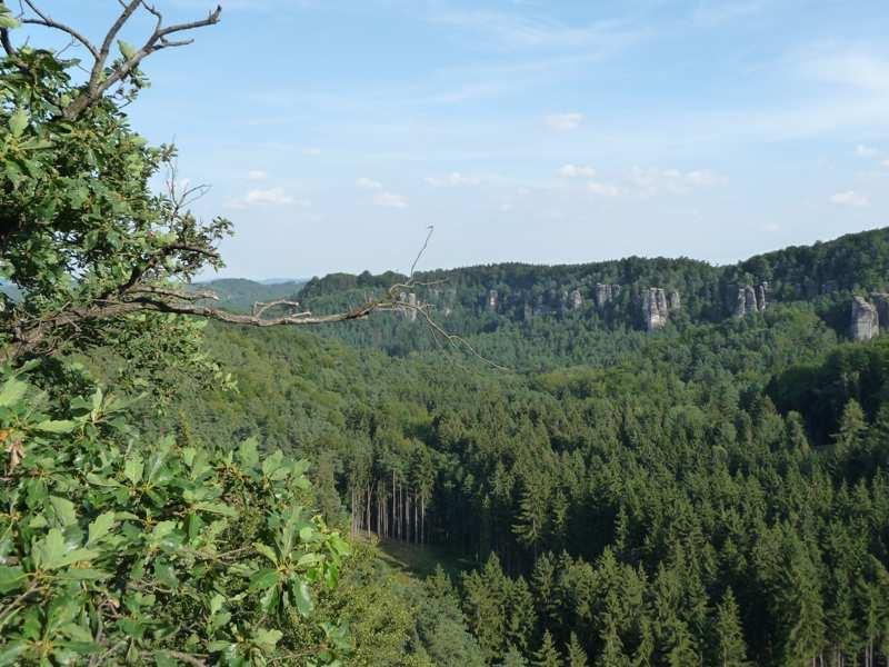 Foto 3: Okolí Příhraz Krajina skal a kopců s typickou nadmořskou výškou 250 350