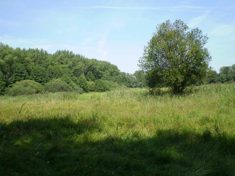 Foto 7: Krajina v okolí Žabakoru Rovinatá zemědělská krajina s typickou nadmořskou výškou 220-250m