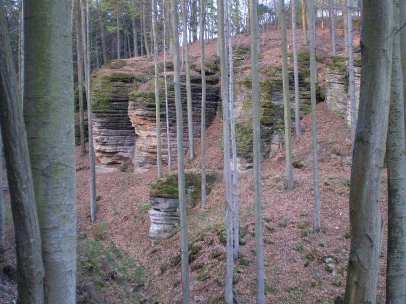 Foto 9: Bukový les, údolí Čertoryje Krajina skal a kopců s typickou nadmořskou výškou 250