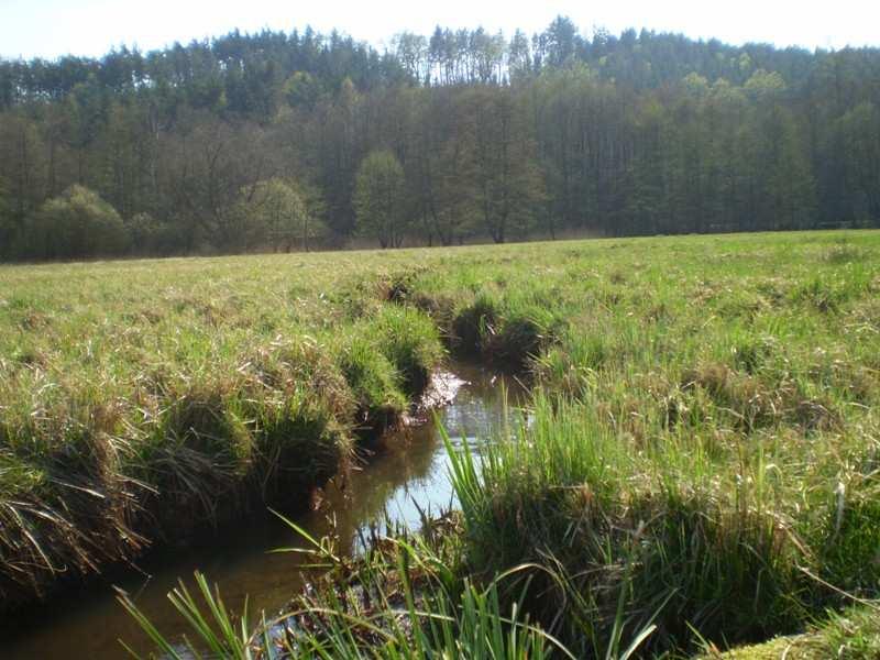 1A1-1A1a) Foto 14: Mokřadní louka Podtrosecká údolí Krajina skal a kopců s typickou nadmořskou výškou 250-350m s