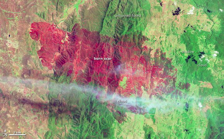 DPZ snímky tak mohou v různých časových odstupech podat přesvědčivý důkaz o tomto ne vždy promyšleném Obr. 128: Odlesňování amazonského deštného lesa v Bolívii. Zdroj: NASA. zásahu.