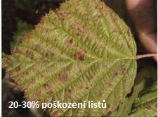 ) Množství ozonu se měří několika způsoby: Přízemní ozon se měří v jednotkách ppb (jedná se o jednu miliardtinu z celku parts per billion) nebo v množství mikrogramů ozonu na metr krychlový; u