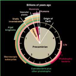 EON ÉRA ÚTVAR ODDĚLENÍ Ma (spodní hranice) KVARTÉR HOLOCÉN 0,01 PLEISTOCÉN 1,8 KENOZOIKUM NEOGÉN PLIOCÉN MIOCÉN 5,3 24 TERCIÉR OLIGOCÉN 33 PALEOGÉN EOCÉN 53 FANEROZOIKUM MEZOZOIKUM PALEOZOIKUM KŘÍDA