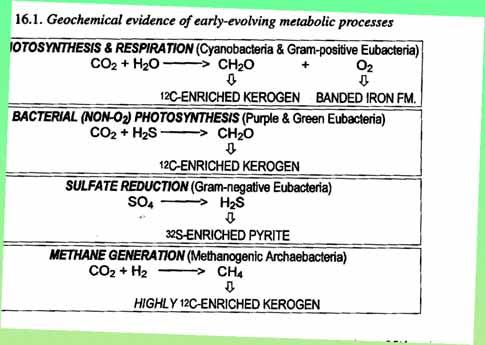 Geochemické důkazy: Enzymatická frakcionizace izotopů uhlíku 12 C/ 13 C izotopů síry 32 S/ 34 S Kerogens are chemical compounds that make up a portion of the organic matter in sedimentary rocks.