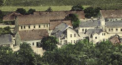 Dopravně bezpečnostní komise při Radě městské části Praha 16 nyní připravila anketu pro občany z Viniček, v níž se lidé mohou vyjádřit, zda by autobusovou linku v oblasti chtěli, přestože vedle