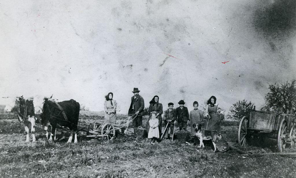 Italští uprchlíci na Svatém Kopečku v období Velké války (1914 1918) Uprchlíci z Tridentska při práci na poli. Morava, 1915.