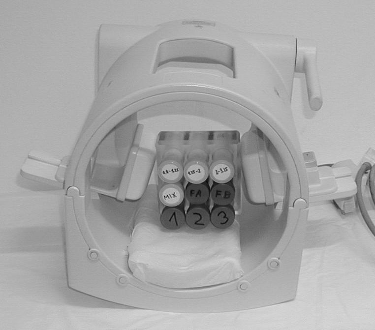 protokol s těmito parametry: TR = 20 ms, TE = 6 ms, MTC = 128x256, FOV = 256x256x32 mm. Počet fázových kroků byl 32 podél vrstvového gradientu, což znamenalo, že TV = 1 mm.