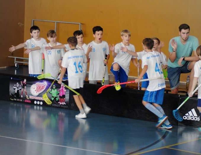 FBC Vipers Most z. s. FBC Vipers Most je florbalový klub s tradicí již od roku 1995. Od té doby dosáhl značných úspěchů.