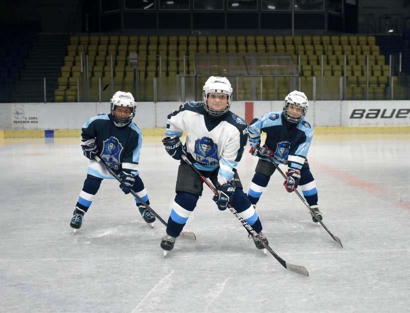 LEDNÍ HOKEJ www.mostectilvi.cz MOSTECKÝ HOKEJOVÝ KLUB MOSTEČTÍ LVI Sport Most z. s. - od