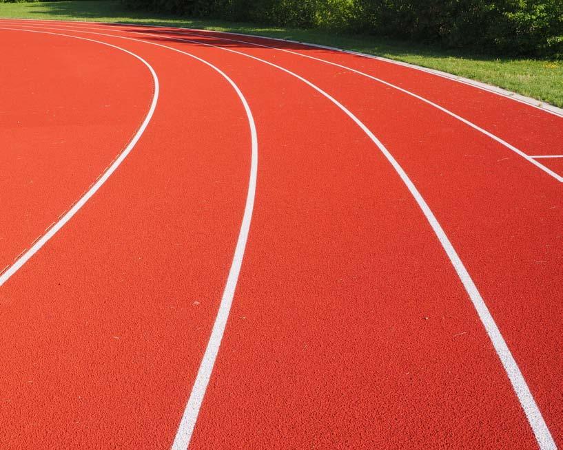 SPORTOVNÍ AREÁLY U ZÁKLADNÍCH ŠKOL Základní škola v ulici Zdeňka Štěpánka (10.