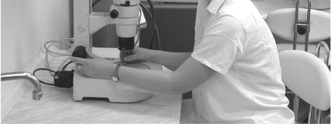 Ze specializovaných předmětů zajišťuje pro AF výuku zoohygieny a prevence chorob, porodnictví a pro ITSZ výuku inseminace a reprodukce hospodářských zvířat.