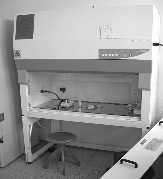 KATTEEDRA OCHRANY ROSSTTLLIIN 21 180 Katedra ochrany rostlin zajišťuje ve školním roce 2004/2005 výuku deseti předmětů pro studenty FAPPZ a jednoho předmětu pro studenty ITS.