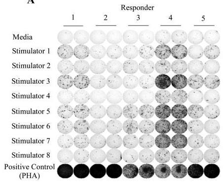 Cellular reactivity does not necessarily suggest