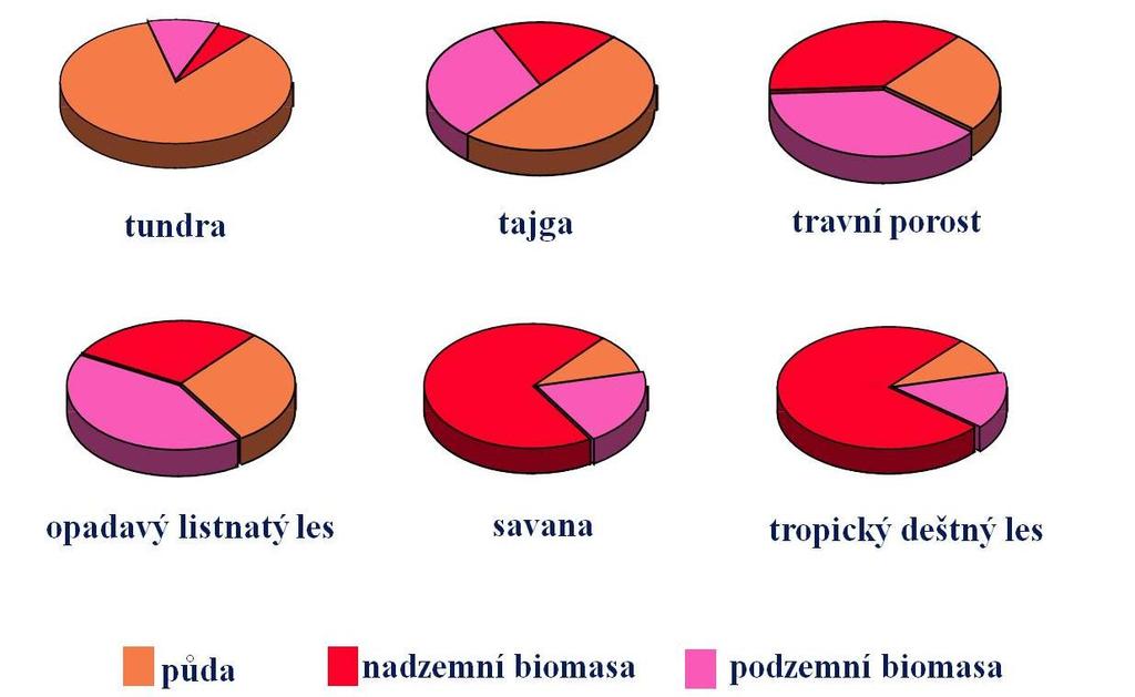 Rozdělení