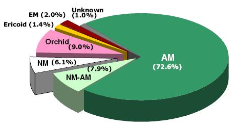 Získávání živin rostlinami (Brundrett 2009, Lambers et al. 2010) 93% všech krytos.