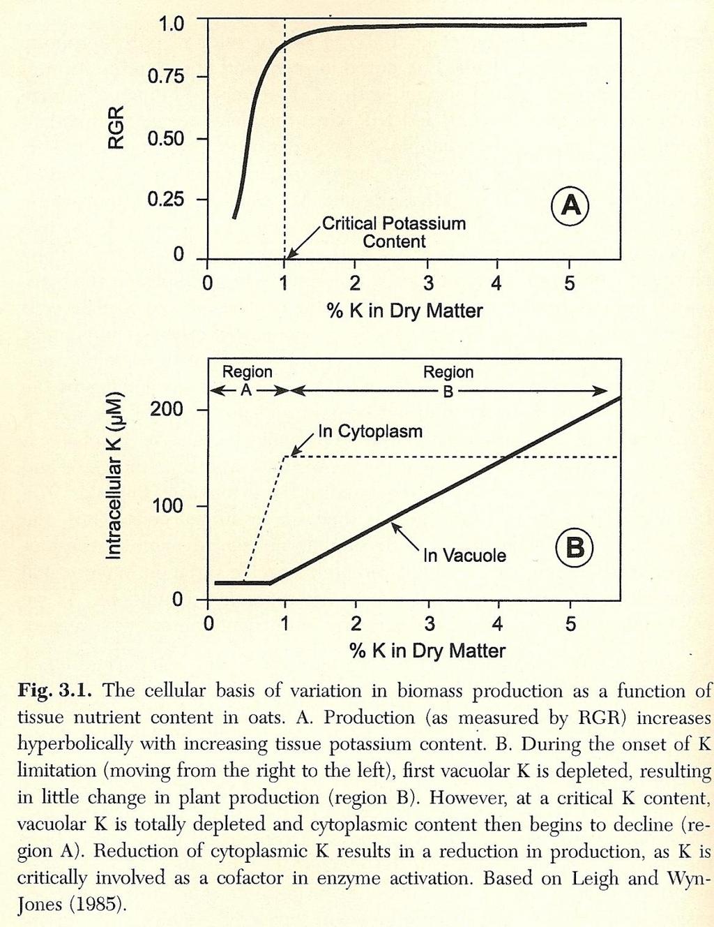 Vakuoly v rostlinných buňkách jako rezervoár živin... Sterner and Elser (2002) Rychlost růstu (RGR) závisí na koncentraci živin v biomase rostliny.