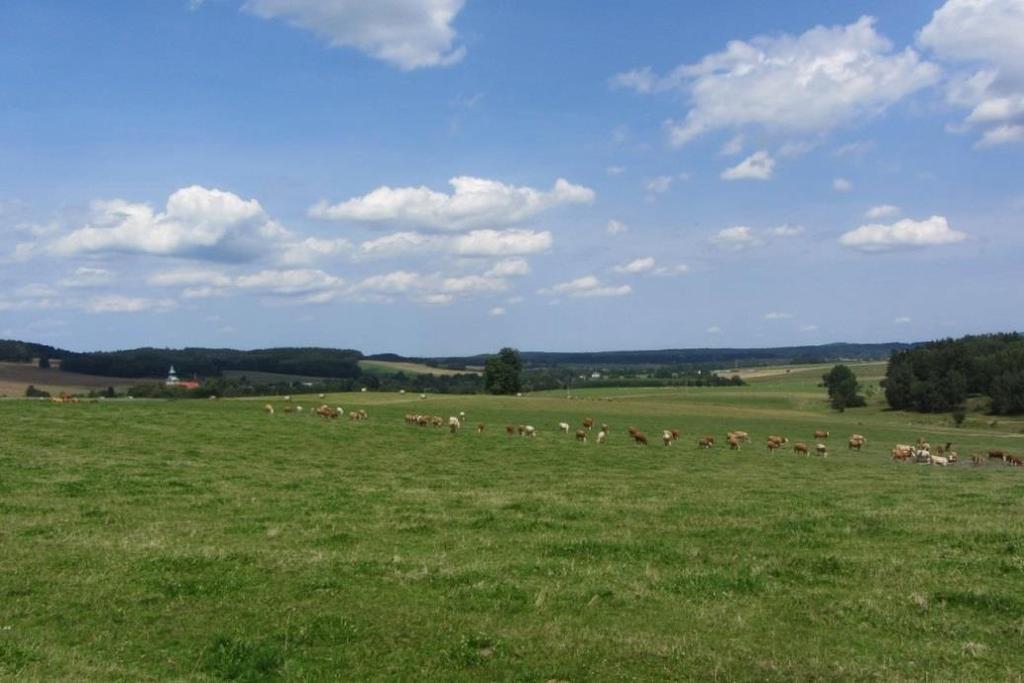 PLÁN SPOLEČNÝCH ZAŘÍZENÍ PRO KOMPLEXNÍ POZEMKOVÉ ÚPRAVY v k. ú. Staré Křečany VYPRACOVAL Ing. Martin Koudelka KRAJ: Ústecký OBEC: Staré Křečany ZODP. PROJEKTANT Alena Truhličková OKRES: Děčín K. Ú.: Staré Křečany OBJEDNATEL: SPÚ ČR Krajský pozemkový úřad pro Ústecký kraj, Pobočka Děčín AKCE: Komplexní pozemkové úpravy v k.