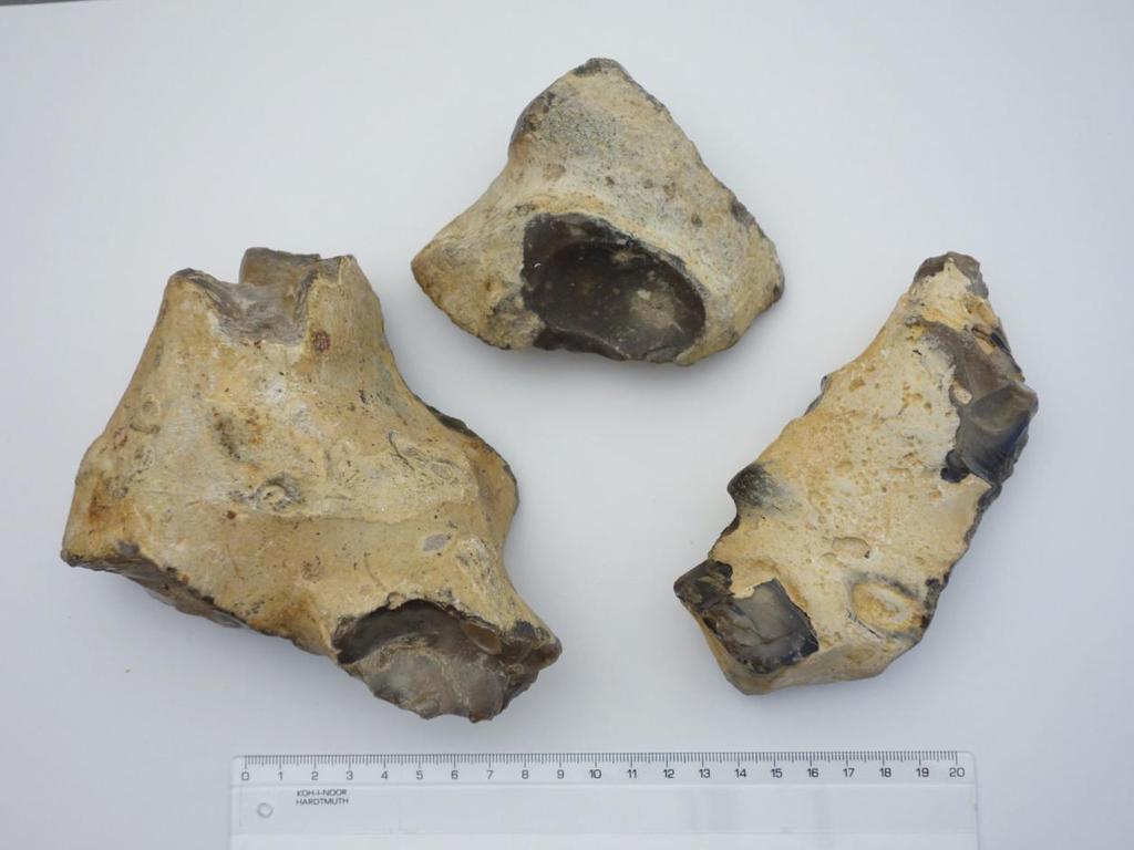 Baltské křídové pazourky z hranice maximálního pleistocenního zalednění Moravské brány, Foto: Aleš Uhlíř Nové metody určování druhu a původu pazourků Aleš Uhlíř Na konferenci 23. kvartér (MU Brno, 1.